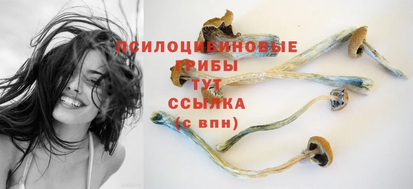 дживик Аркадак