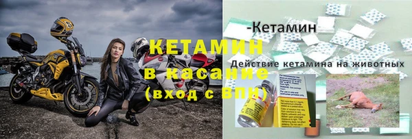 дживик Аркадак