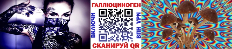 Галлюциногенные грибы MAGIC MUSHROOMS  купить закладку  Междуреченск 