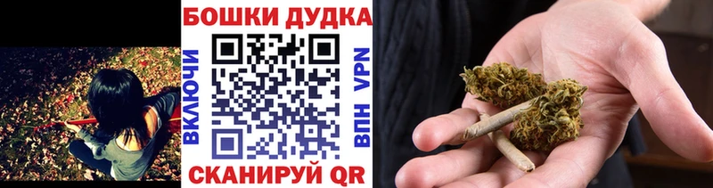 Конопля гибрид Междуреченск